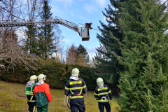 Sägeabreiten aus Drehleiter