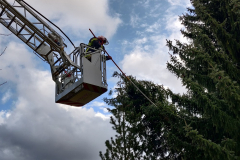 Sägeabreiten aus Drehleiter