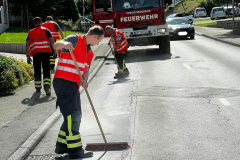 IMG-20220912-WA0016