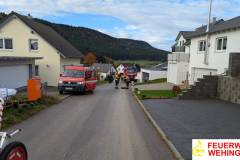 PXL_20241017_075216848.MP_
